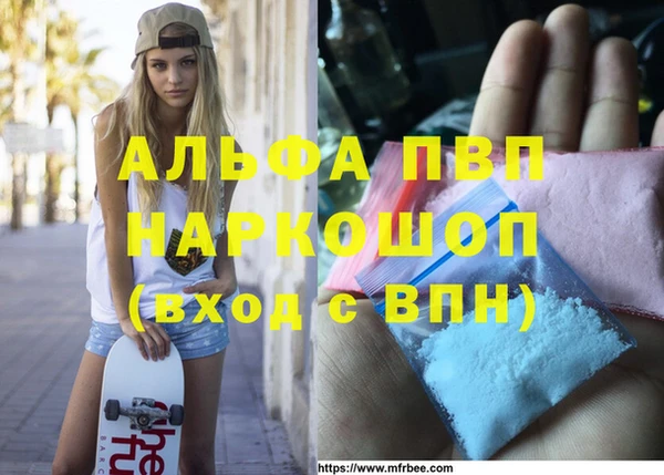 jwh Алзамай