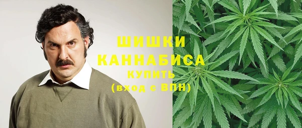 спайс Абаза